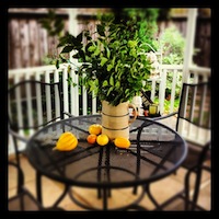 mais fotos dessa semana