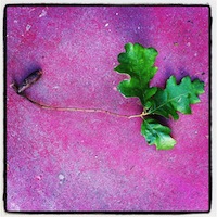 mais fotos dessa semana