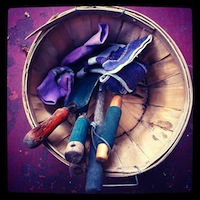 mais fotos dessa semana