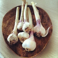 mais fotos dessa semana