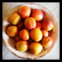 neste final de semana