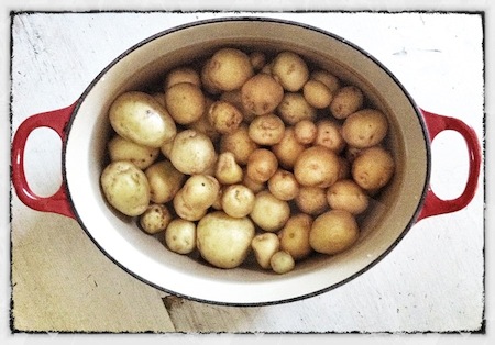 new-potatoesS.jpg