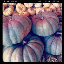 pumpkin-time_