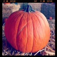 pumpkin-time_