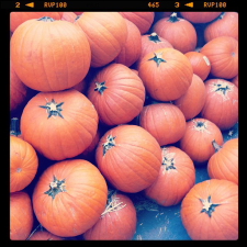pumpkin-time_
