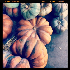 pumpkin-time_