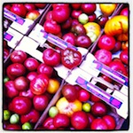 San Francisco express