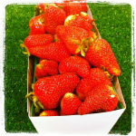 T & Y Strawberry Patch