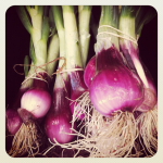 T & Y Strawberry Patch