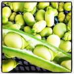 T & Y Strawberry Patch