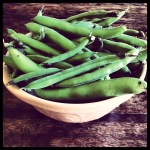 T & Y Strawberry Patch