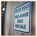 T & Y Strawberry Patch