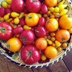 june is bringing us summer