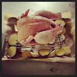 june is bringing us summer