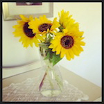 june is bringing us summer