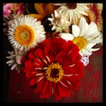 june is bringing us summer