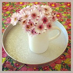 june is bringing us summer