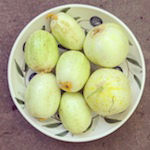 june is bringing us summer