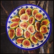 figos-galore13.jpg