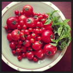 june is bringing us summer