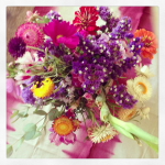 june is bringing us summer