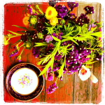 june is bringing us summer