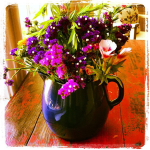 june is bringing us summer