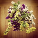 june is bringing us summer