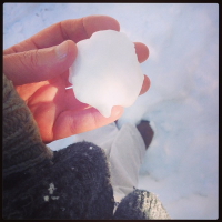 finding the christmas tree