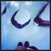 finding the christmas tree