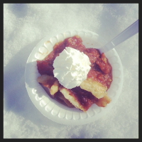 finding the christmas tree