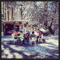 finding the christmas tree