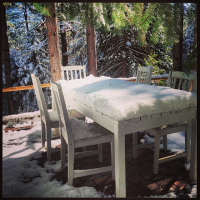 finding the christmas tree