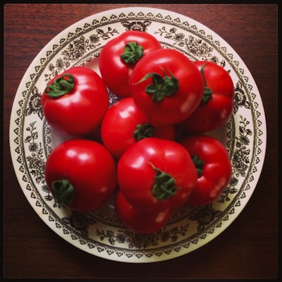 tomates-new1.jpg