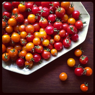 tomates-new2.jpg