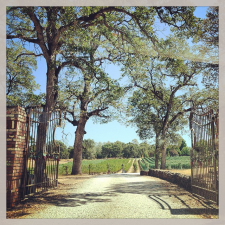 wines in placer county