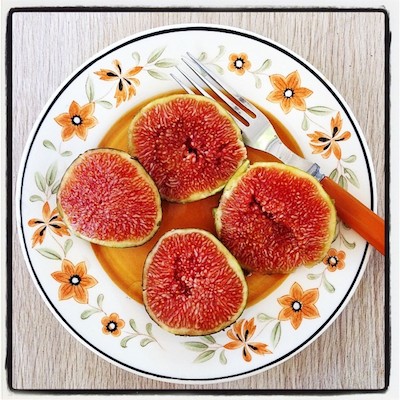 figs-ag14.jpg