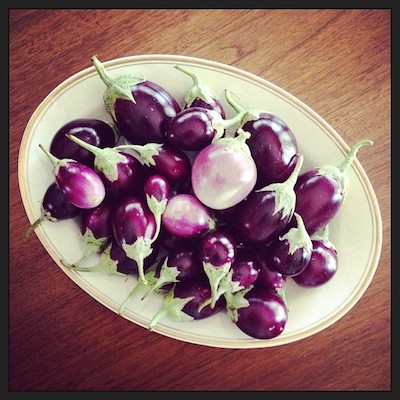 mini berinjelas