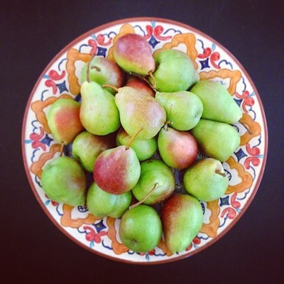 pears-Ria.jpg