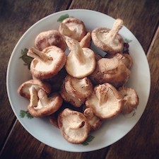 shiitake.jpg