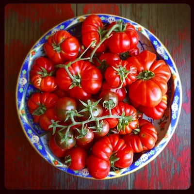 tomatesP1.jpg