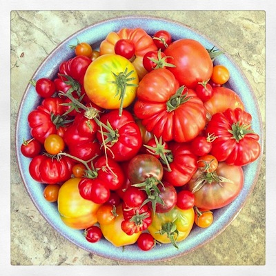 tomatesP2.jpg