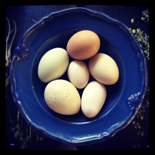 ovos-ovinhos
