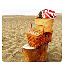 picnic in Point Reyes