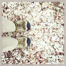 picnic in Point Reyes