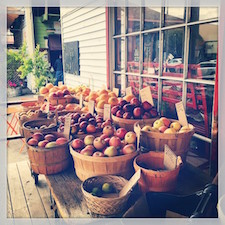 picnic in Point Reyes