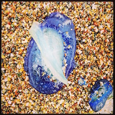 picnic in Point Reyes