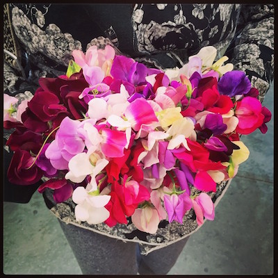 sweet-peas.jpg