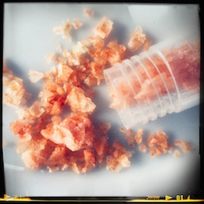 um dia em San Francisco