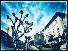 um dia em San Francisco